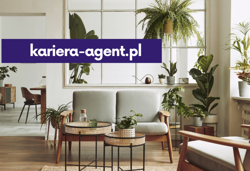 Jak profesjonalnie wystawić nieruchomość na rynek